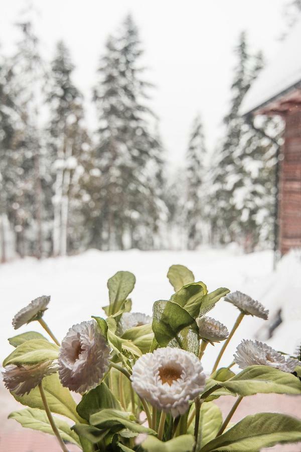 Willa Belle Epoque Zakopane Eksteriør billede